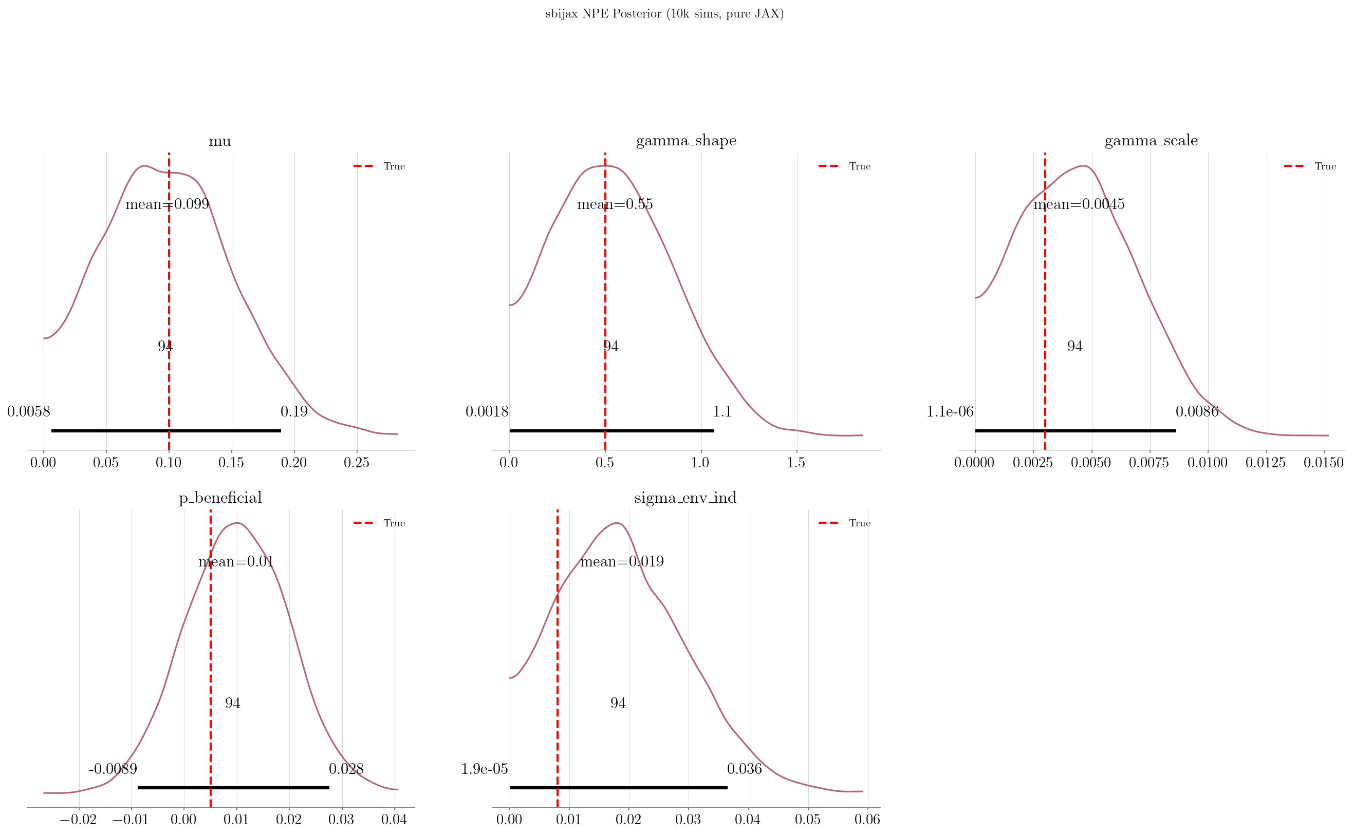 sbijax NPE posterior distributions